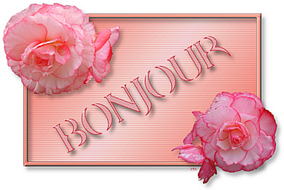 bonjour