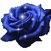 un bouquet de fleur