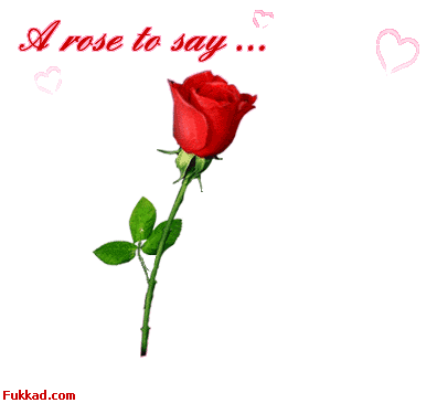 l'amour