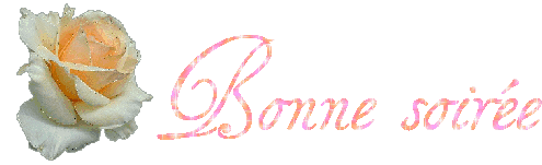 bonne soirèe