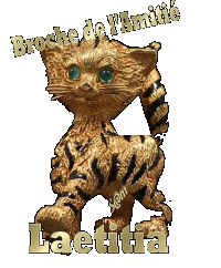 broche de l'amitie